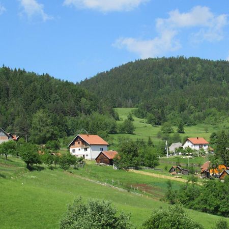 Planinski Mir Zaovine 外观 照片
