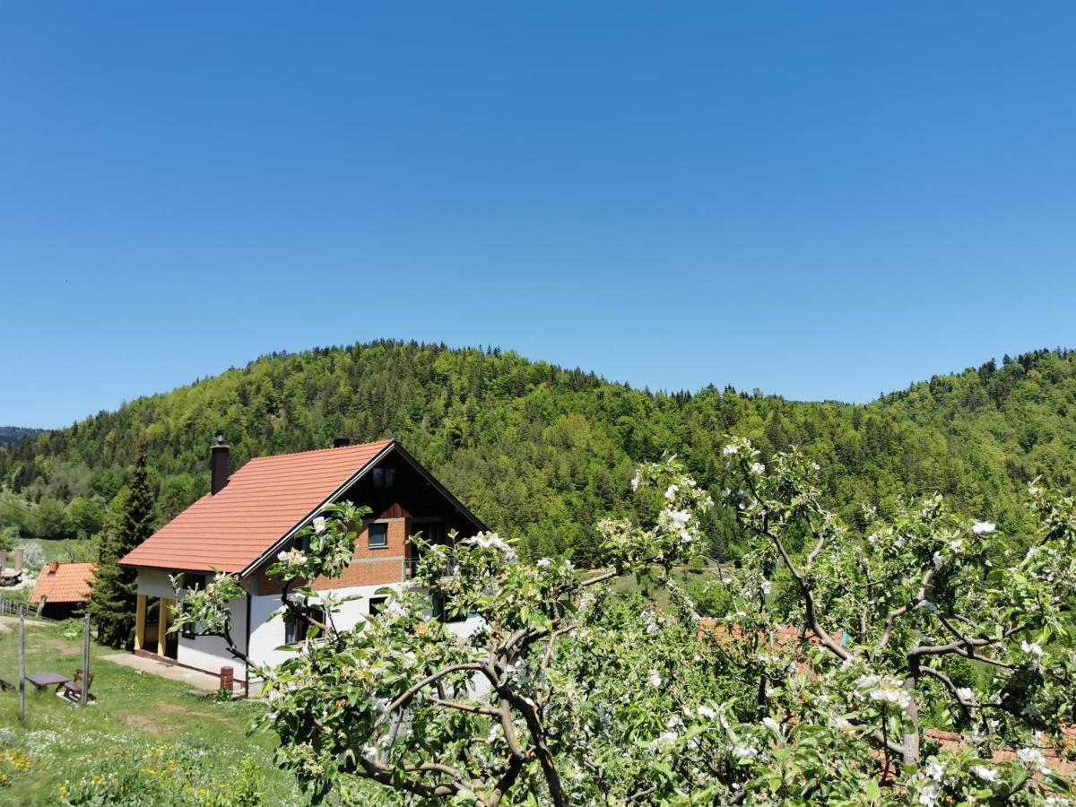 Planinski Mir Zaovine 外观 照片
