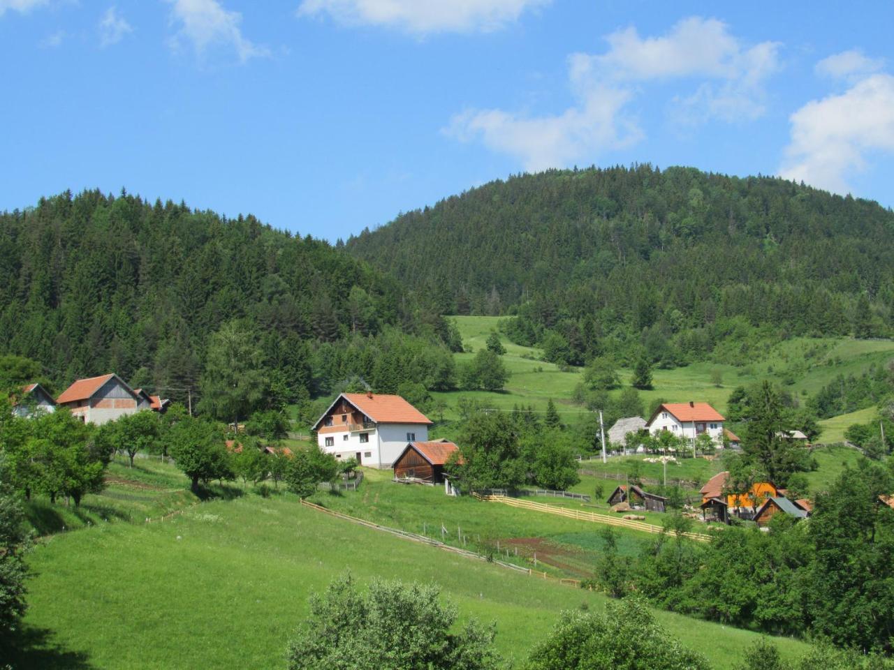 Planinski Mir Zaovine 外观 照片