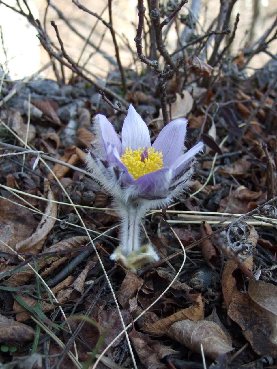Planinski Mir Zaovine 外观 照片
