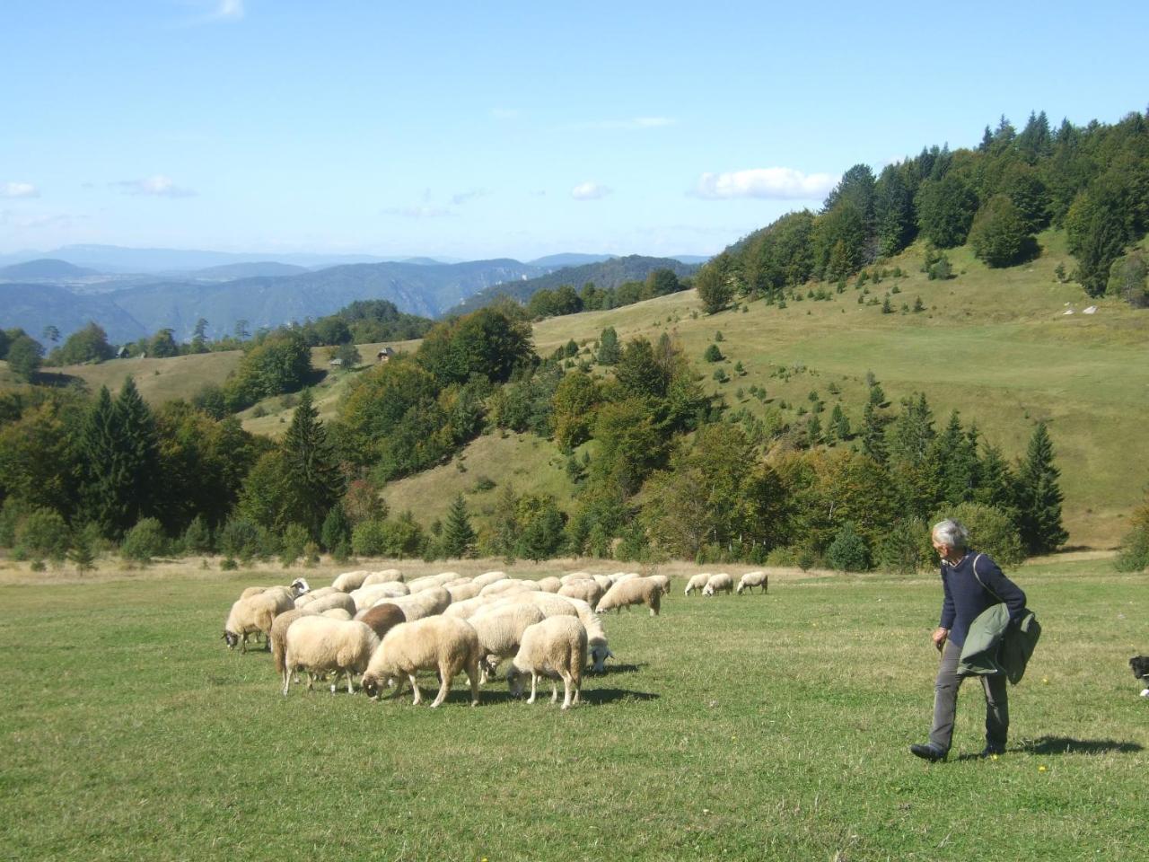 Planinski Mir Zaovine 外观 照片