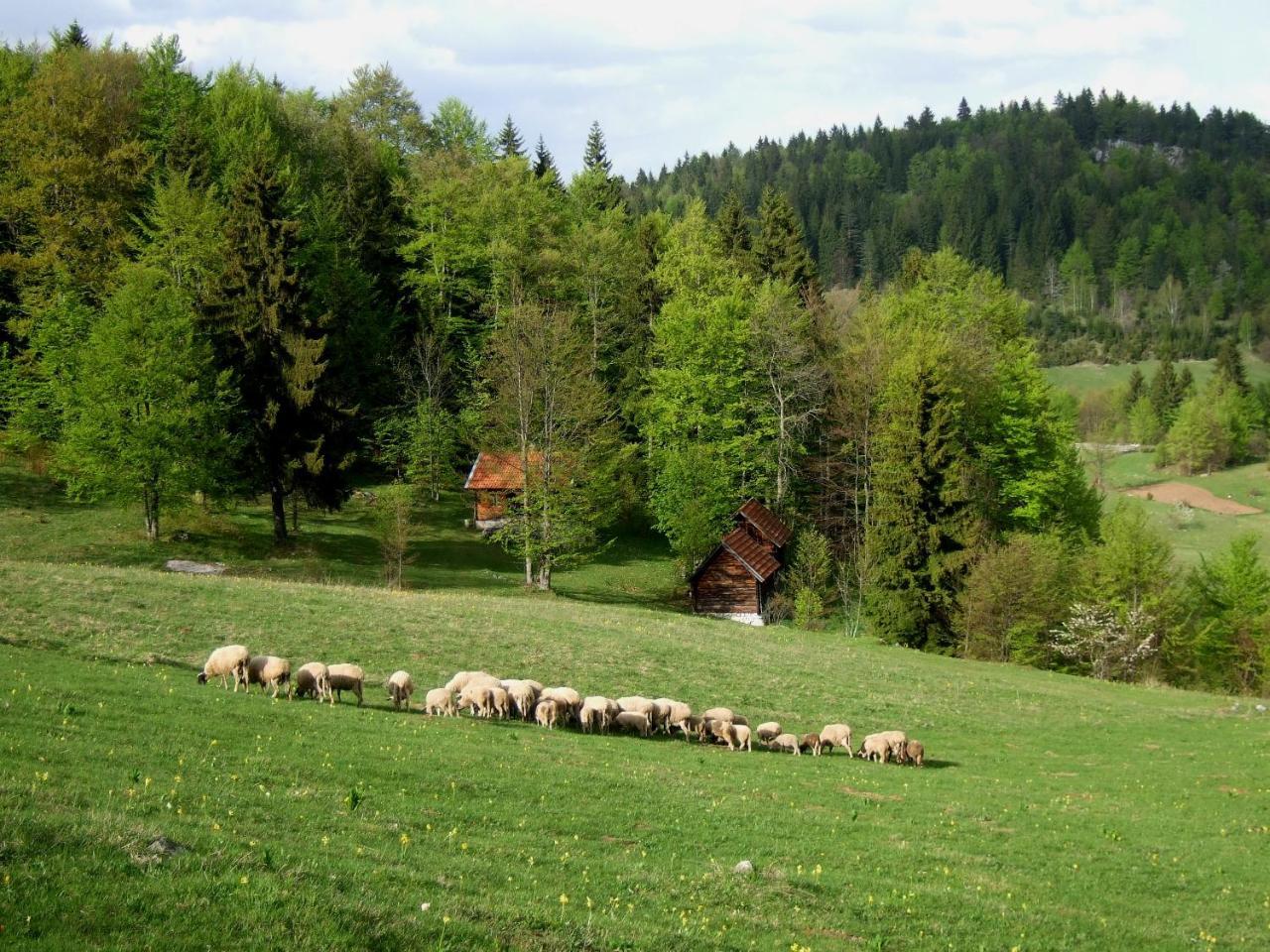 Planinski Mir Zaovine 外观 照片